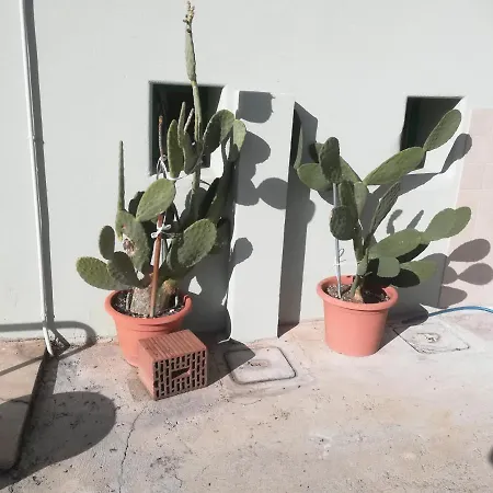 Vacanze In Con Parcheggio * 고리치아